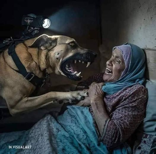 Image accompanying مشهد حقيقي من #غزة وليس فيلم .."
