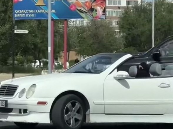 مضلل: هذا الفيديو لامرأة محجبة تقود سيارة مكشوفة ليس في ليبيا