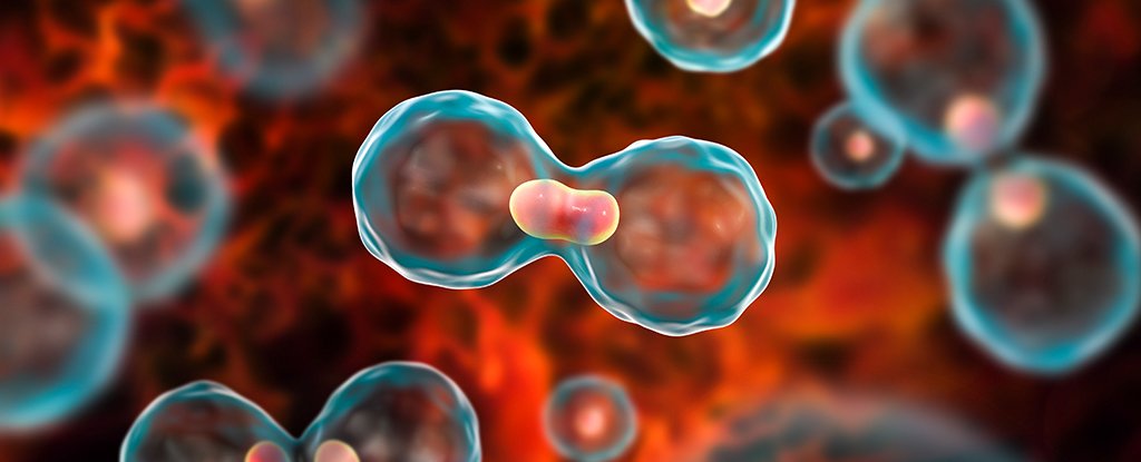 زائف: لا صحة لاعتماد هيئة الغذاء والدواء الأمريكية لخلطة 